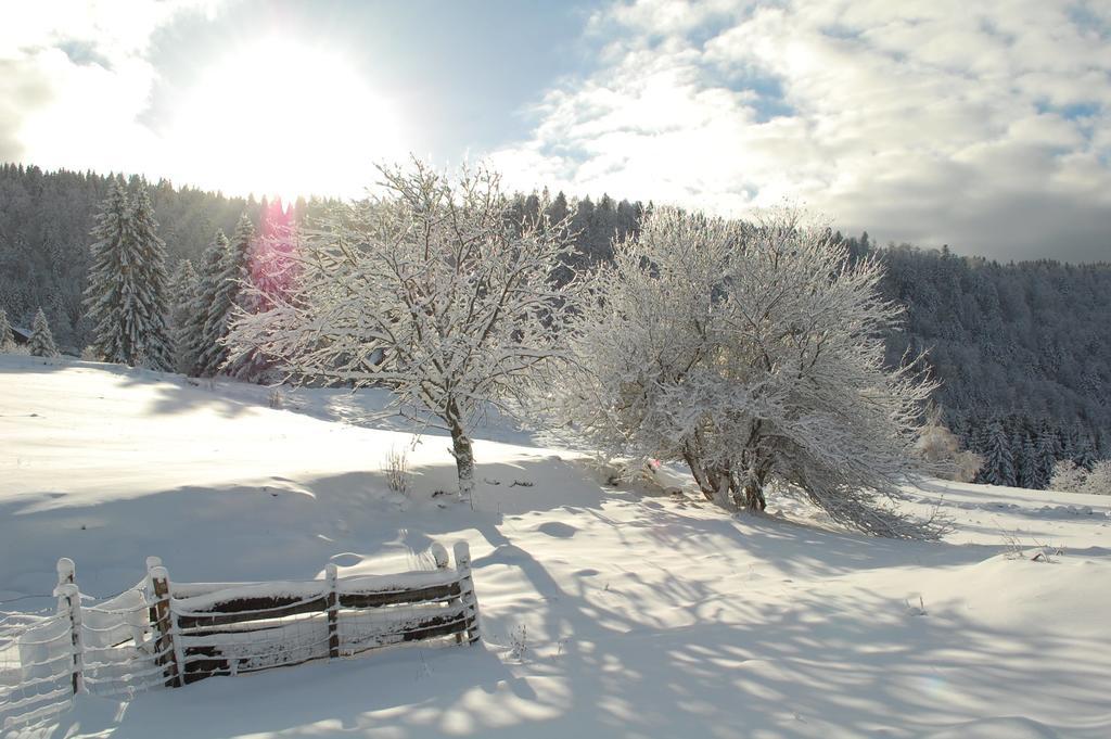 La Haut & Spa Ventron Oda fotoğraf