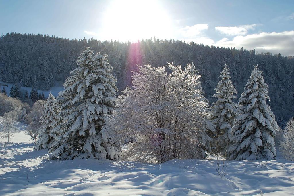 La Haut & Spa Ventron Oda fotoğraf